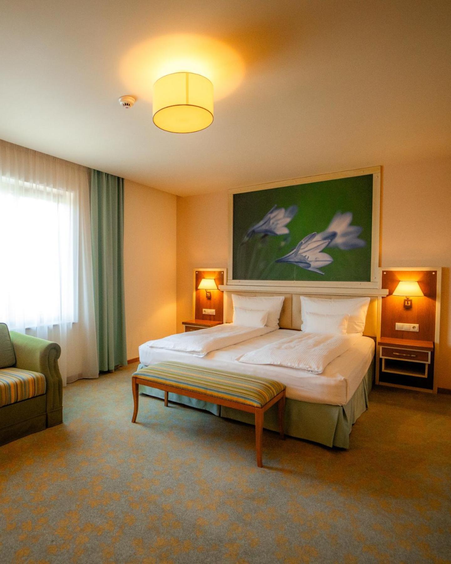 Hotel Sonnenhof Suceava Eksteriør bilde
